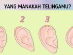 01072019_cek-kepribadian-seseorang-lewat-bentuk-telinga.jpg