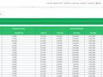0403_Bagasi-Citilink.jpg