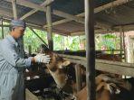 06022023peternak-di-Lingga.jpg