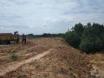 0804hutan-bakau-di-Sagulung-ditimbun.jpg