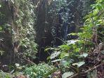 11-2-202-misteri-gua-kuntilanak.jpg