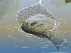 2706_foto-ilustrasi-mimpi-berkaitan-ikan.jpg