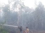 4-jam-api-di-lahan-gambut-bintan-belum-padam.jpg