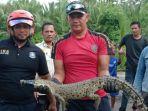 Buaya-d-Lingga-bikin-geger-warga-Kampung-Gelam-Darat-nvsv.jpg