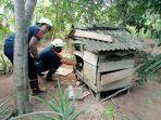 Damkar-Bintan-evakuasi-ular-dalam-kandang-ayam.jpg