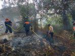 Damkar-Lingga-padamkan-kebakaran-hutan-dan-lahan-dsvn.jpg