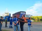 Ekspor-ayam-hidup-3455.jpg