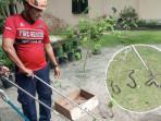 Empat-kobra-di-rumah-warga-Lingga.jpg