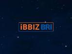 IBBIZ-BRI.jpg
