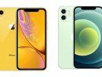 Ilustrasi-HP-iPhone-XR-dan-iPhone-12.jpg