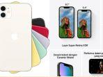 Ilustrasi-iPhone-11-dan-iPhone-13-Mini.jpg