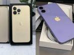 Ilustrasi-iPhone-12-Mini-dan-iPhone-13-Pro-Max-second.jpg