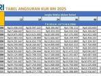KUR-BRI-2025-plafon-hingga-Rp-500-Juta.jpg
