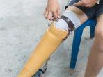Kaki-palsu.jpg