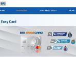 Kartu-Kredit-dari-Bank-BRI.jpg
