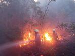 Kebakaran-lahan-di-Bintan-Kepri-sdvndv.jpg