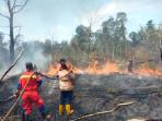 Kebakaran di Lingga, Api Hanguskan Lahan Tiga Hektar di Pertanian Singkep 