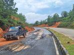 Kondisi-di-Jalan-Lintas-Timur-Kabupaten-Bintan-Kepri.jpg