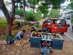 Lapak-Pak-Am-jual-buah-lontar-di-Batam.jpg