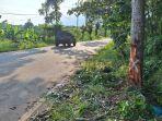 Lokasi-kecelakaan-maut-di-Bintan-877.jpg
