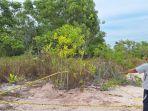 Lokasi-kubur-janin-di-Bintan-77.jpg
