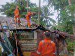 POHON-TUMBANG-RANAI.jpg