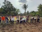 TANAM-JAGUNG-SERENTAK.jpg