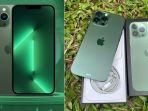 Tangkapan-layar-iPhone-13-Pro-Max-dengan-warna-Green.jpg