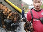 anak-anjing-ini-ditemukan-berhasil-selamat.jpg