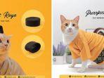 baju-ramadan-untuk-kucing.jpg