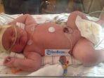 bayi-perempuan-bernama-harper-buckley-lahir-dengan-bobot-hampir-7-kilogram.jpg