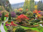 butchart-gardens.jpg