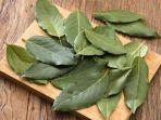 daun-salam.jpg