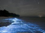 dinoflagellata-mengeluarkan-cahaya-biru_20171230_133343.jpg