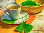 ginkgo-biloba.jpg