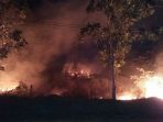 gunung-lengkuas-terbakar_20170806_165100.jpg