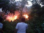 hutan-belakang-tiban-palem-terbakar.jpg