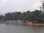 hutan-dam-mukakuning-terbakar.jpg