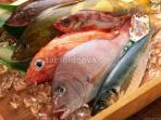 ikan-laut-dan-paparan-merkuri_20161110_131952.jpg