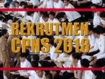 ilustrasi-cpns-2018_20180717_095428.jpg