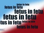 ilustrasi-fetus-in-fetu.jpg