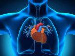 ilustrasi-jantung-tks.jpg