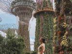 ilustrasi-pengunjung-di-gardens-by-the-bay-singapura.jpg