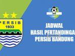 jadwal-dan-hasil-pertandingan-persib-bandung-di-liga-1-musim-2019.jpg