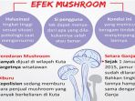 jamur-kotoran-sapi_20170508_150153.jpg