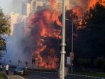 kebakaran-api-meluas-sampai-ke-haifa-kota-terbesar-ketiga-di-israel_20161125_160847.jpg