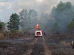 kebakaran-lahan-di-tanjungpinang.jpg