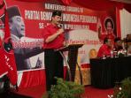 ketua-dpd-pdip-provinsi-kepri-soerya-respationo.jpg