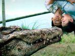 million-dollar-crocodile.jpg