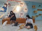 mostcat-cafe.jpg